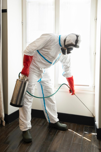 opérateur en désinsectisation qui pulvérise un insecticide sur des plinthes d'appartement